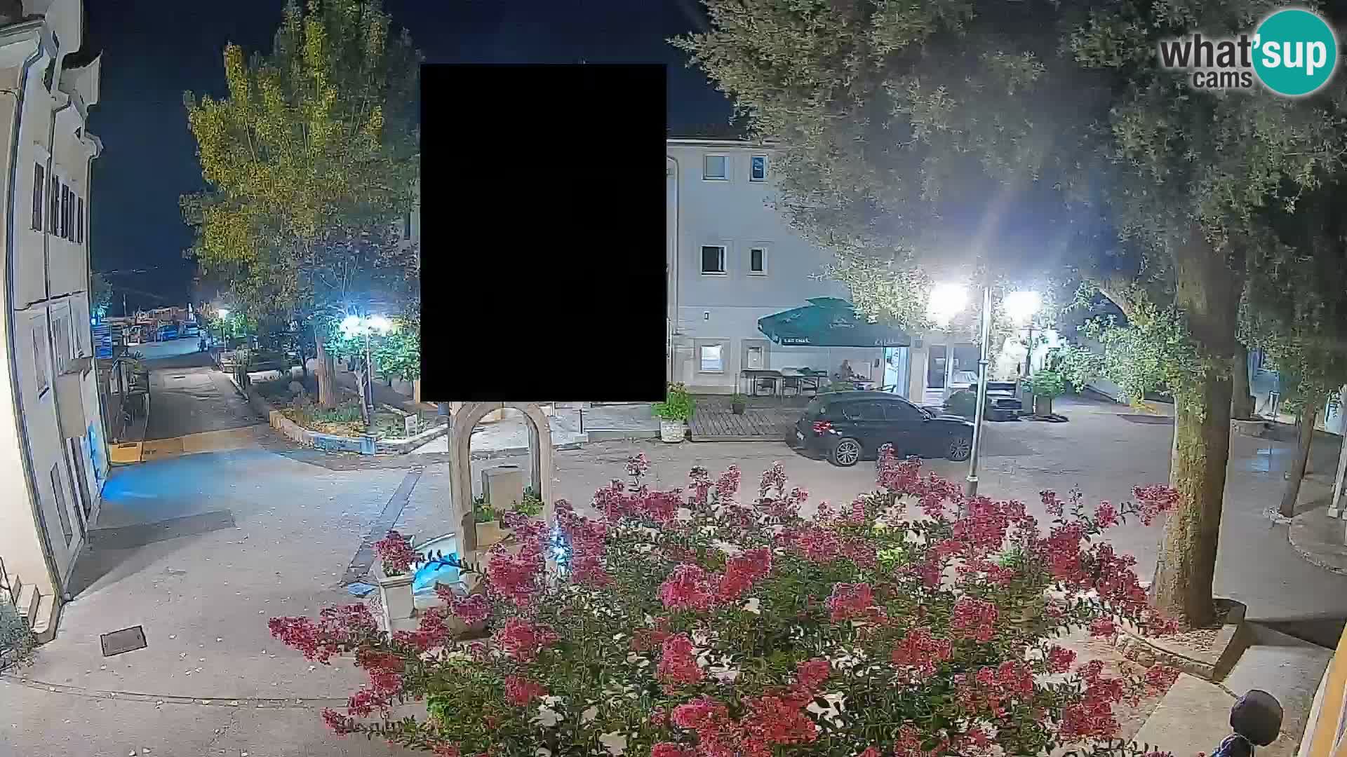 Webcam Centro Draga di Moschiena – Vista live sul centro