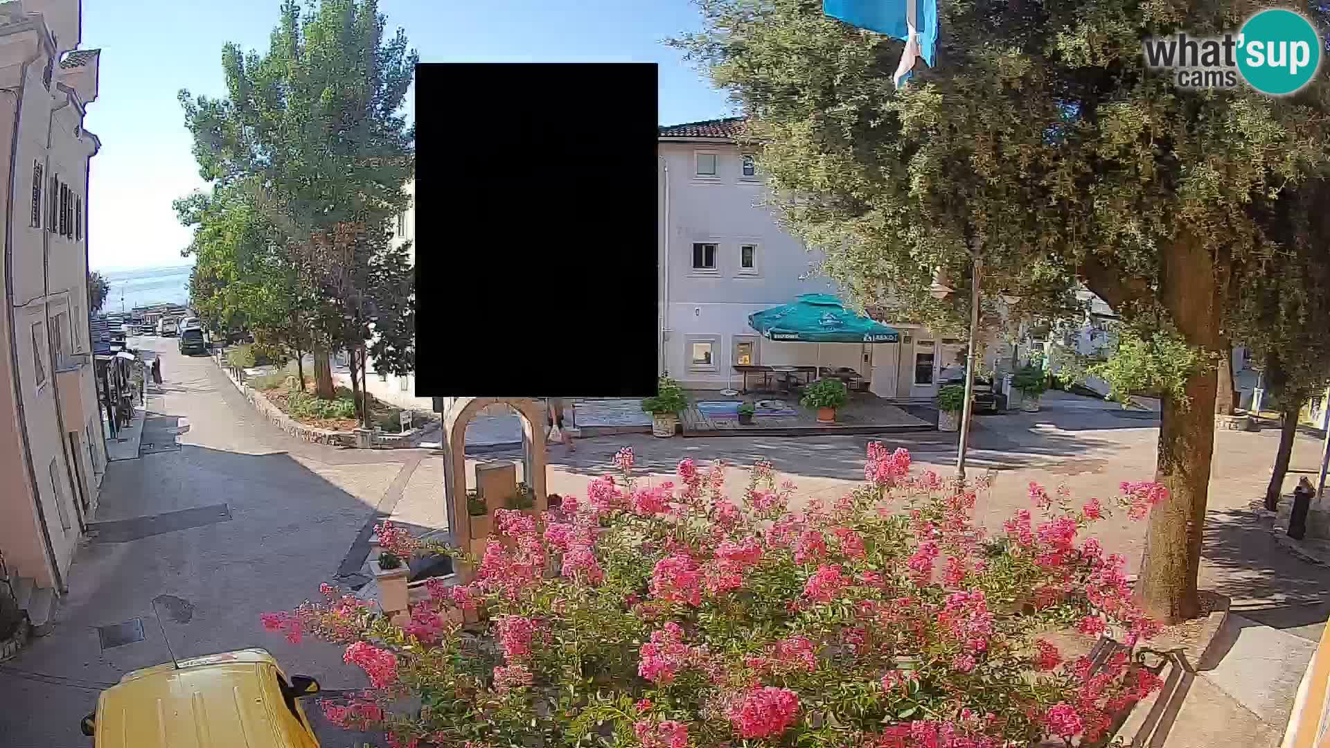 Webcam Centro Draga di Moschiena – Vista live sul centro