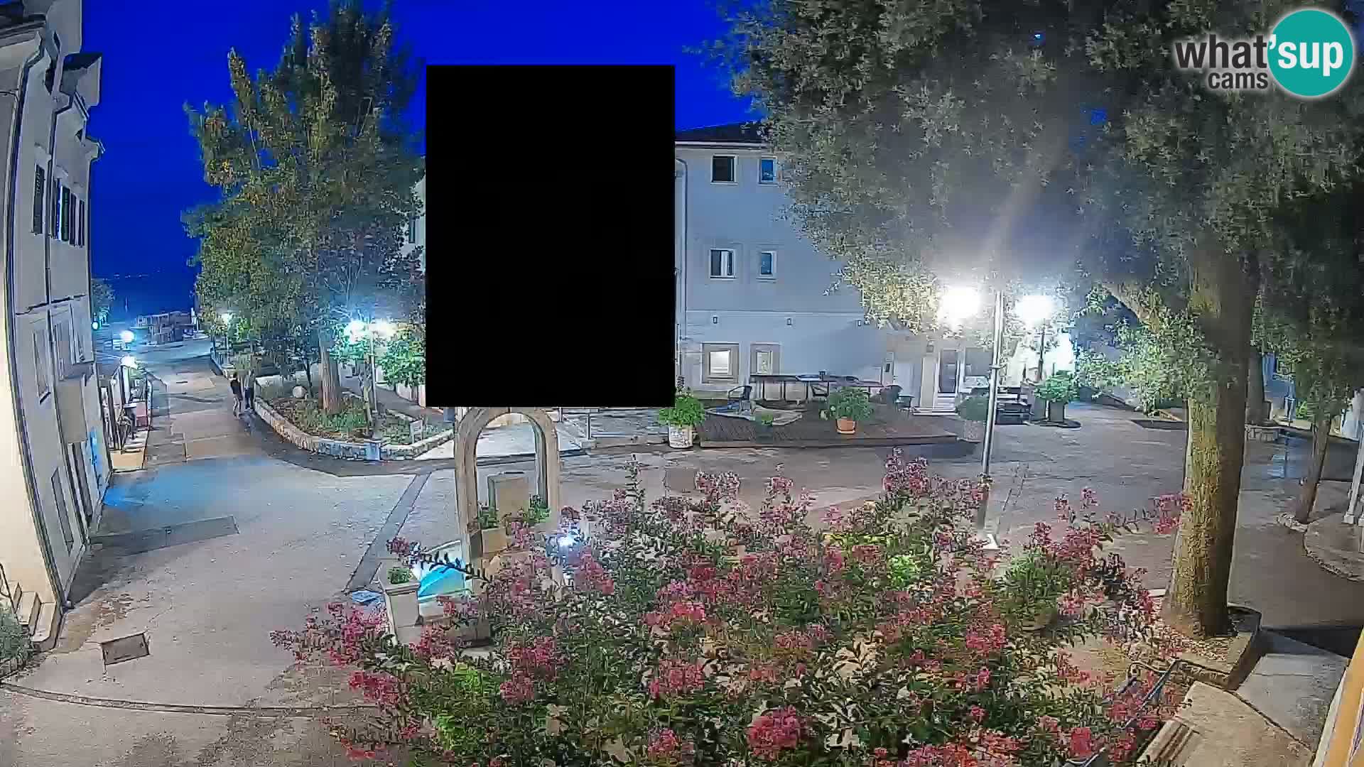 Webcam Centro Draga di Moschiena – Vista live sul centro