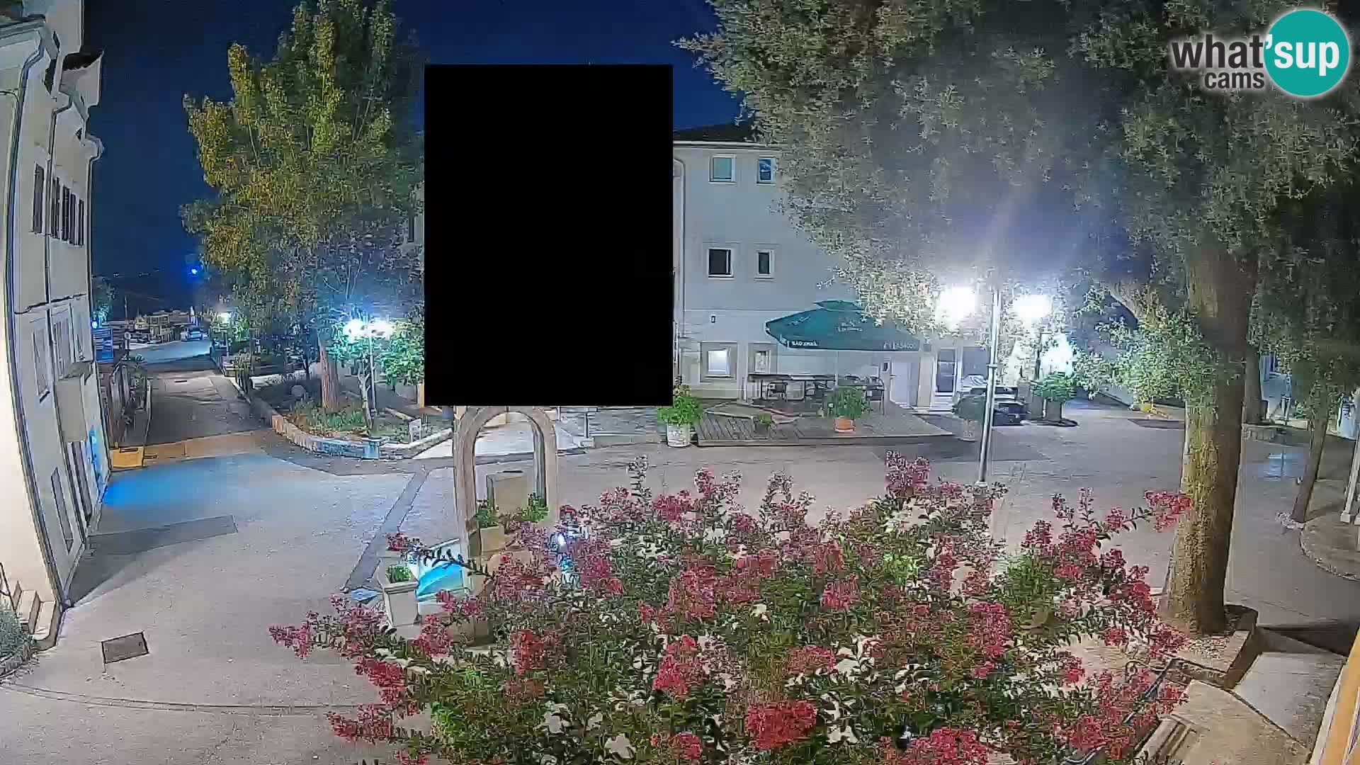 Webcam Centro Draga di Moschiena – Vista live sul centro