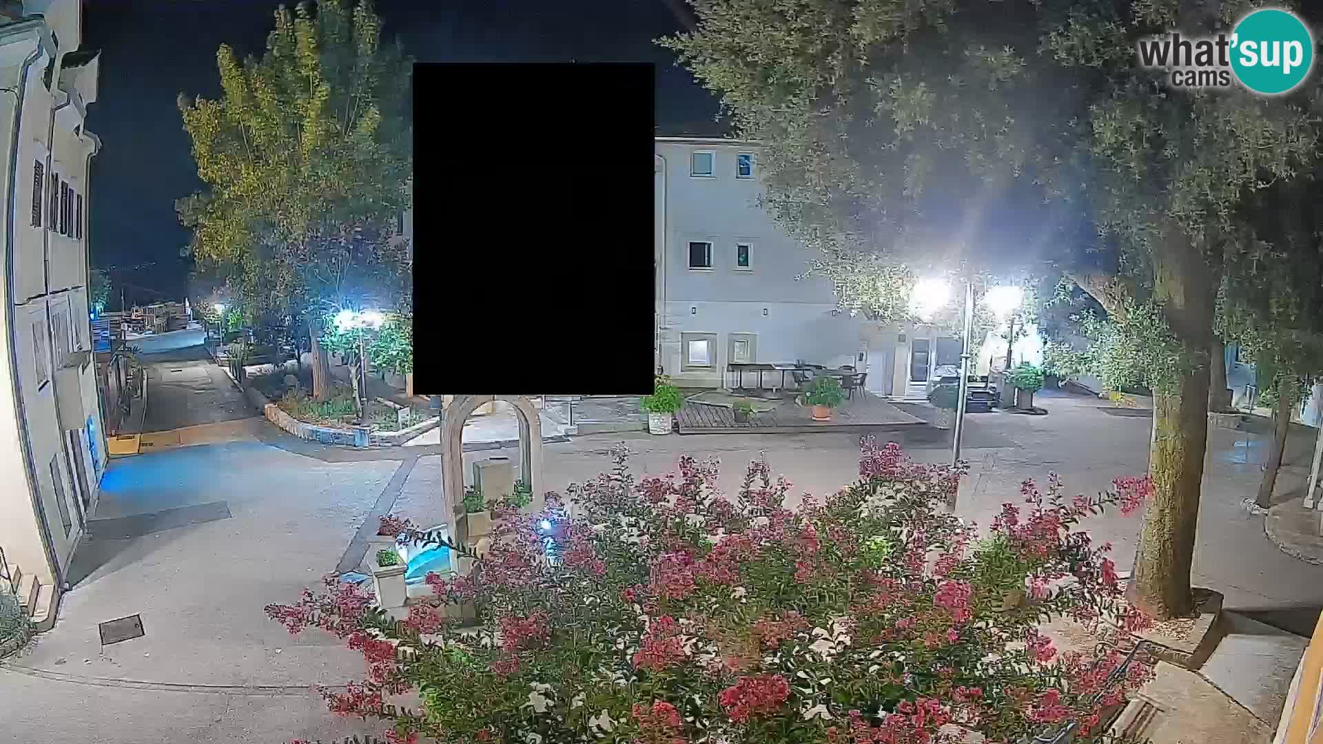 Webcam Centro Draga di Moschiena – Vista live sul centro