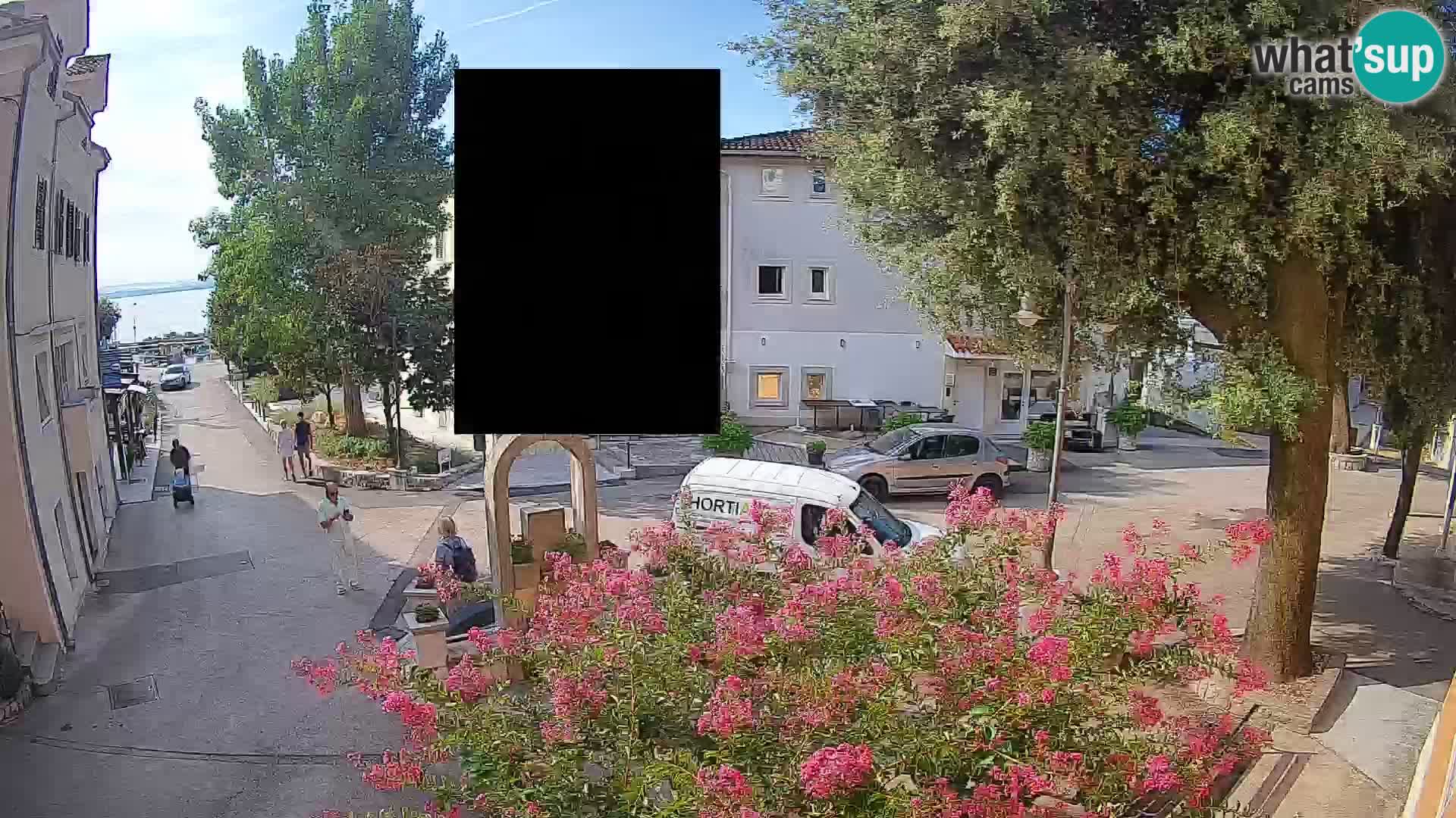 Webcam Centro Draga di Moschiena – Vista live sul centro