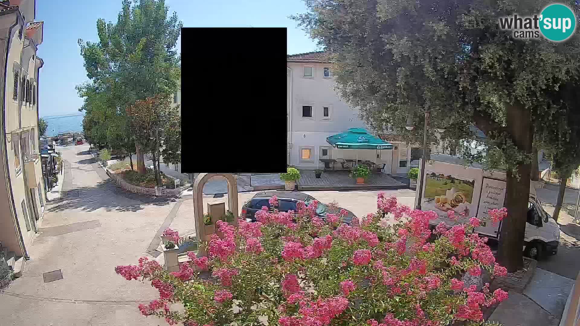 Webcam Centro Draga di Moschiena – Vista live sul centro
