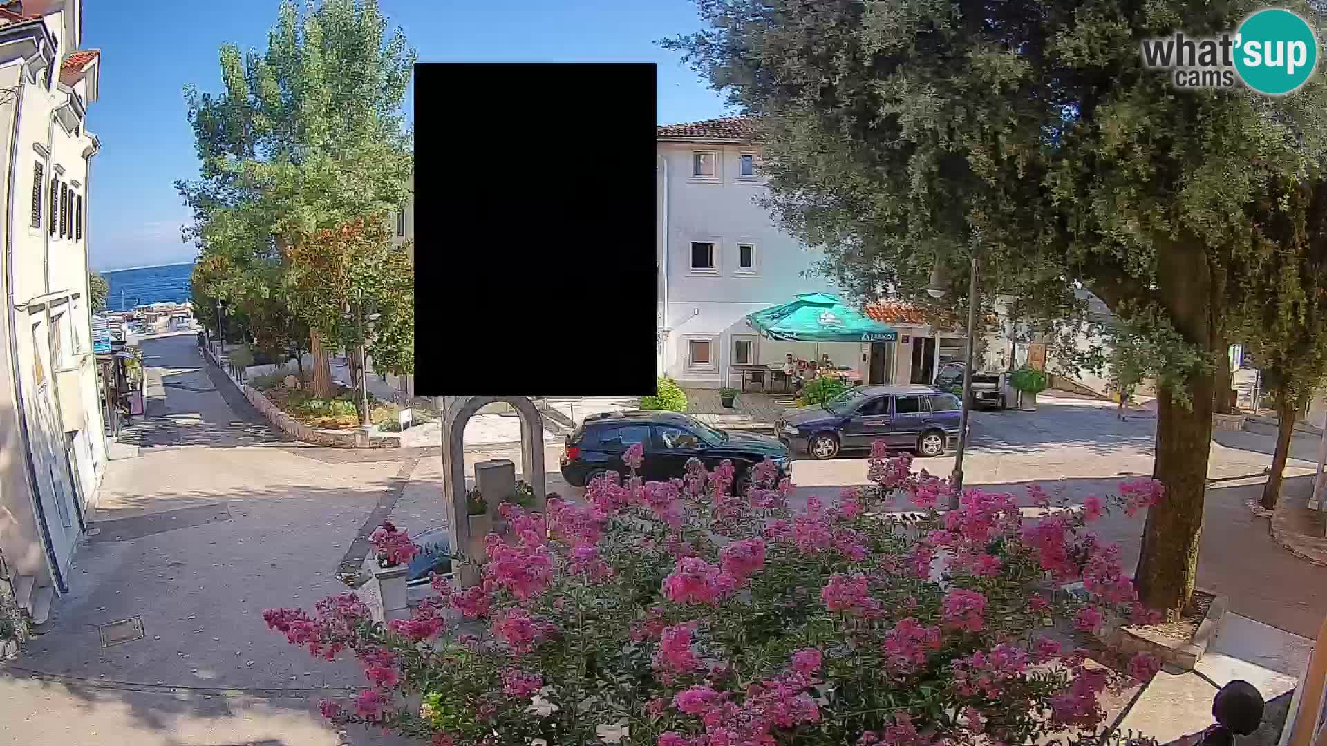 Webcam Centro Draga di Moschiena – Vista live sul centro