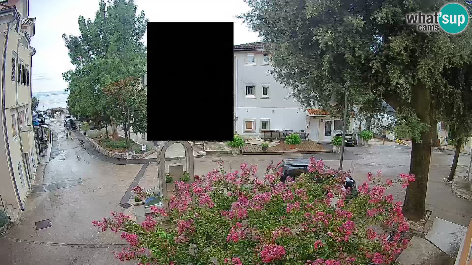 Webcam Centro Draga di Moschiena – Vista live sul centro