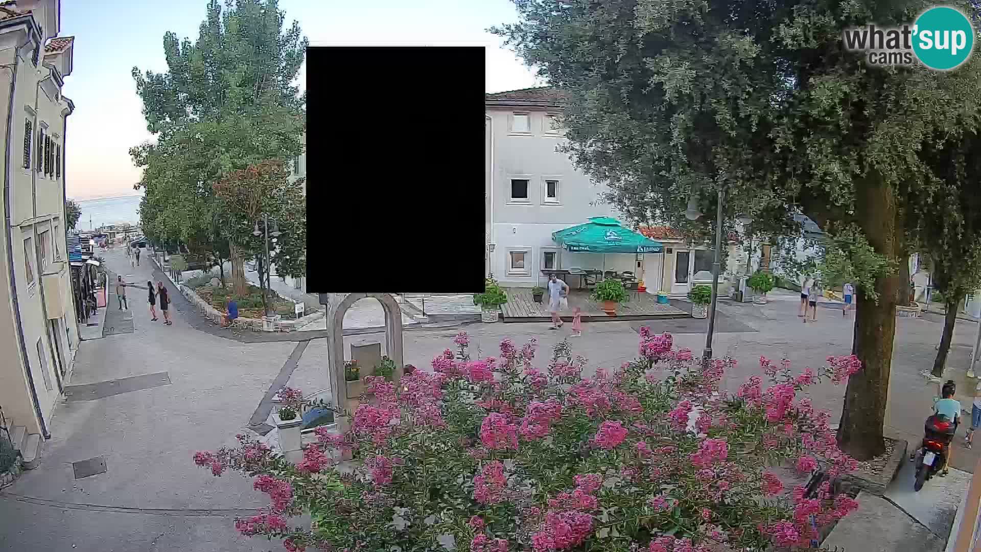 Webcam Centro Draga di Moschiena – Vista live sul centro