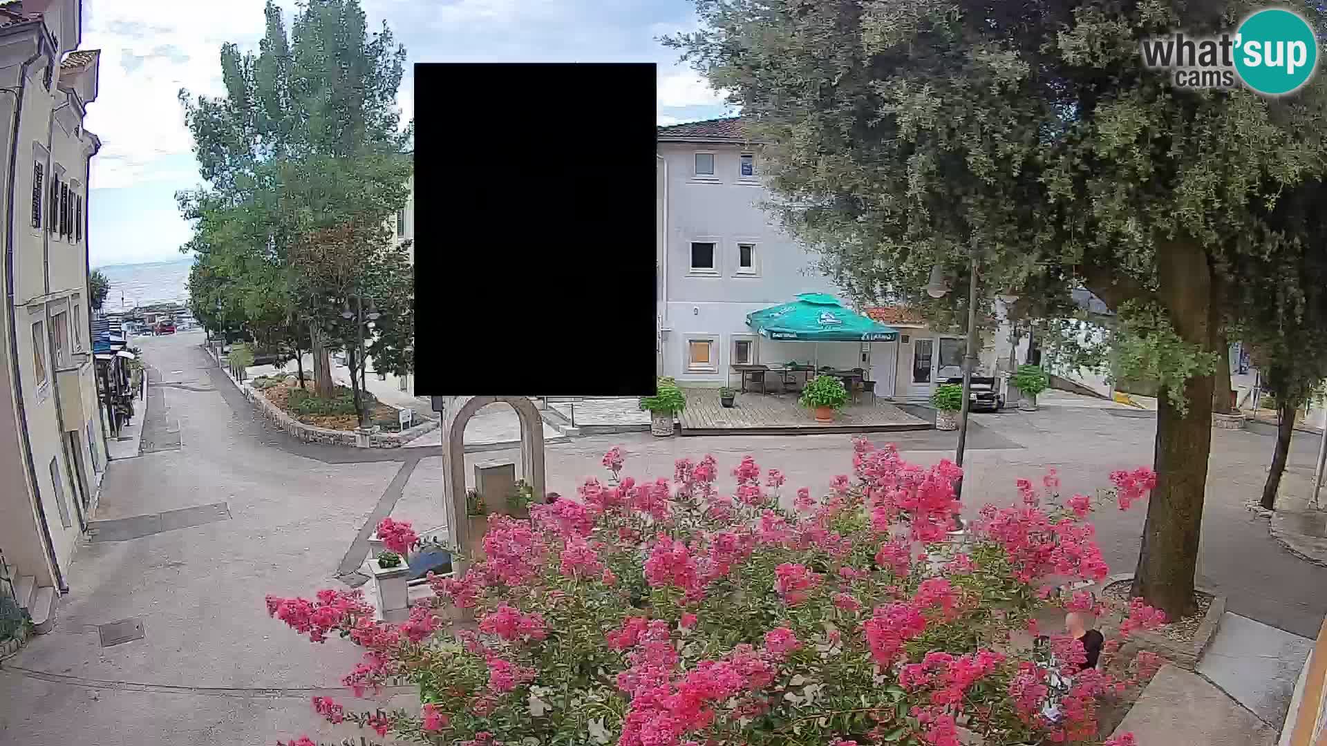 Webcam Centro Draga di Moschiena – Vista live sul centro