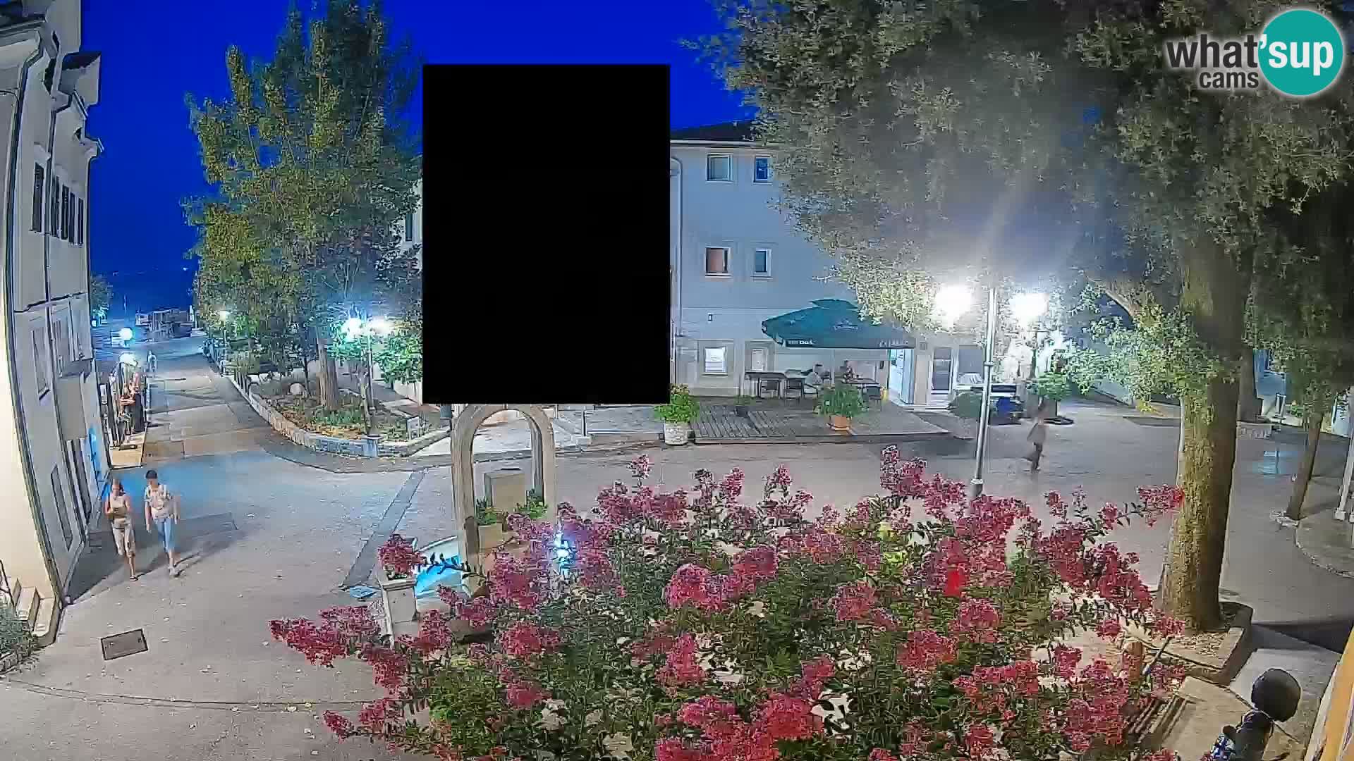 Webcam Centro Draga di Moschiena – Vista live sul centro