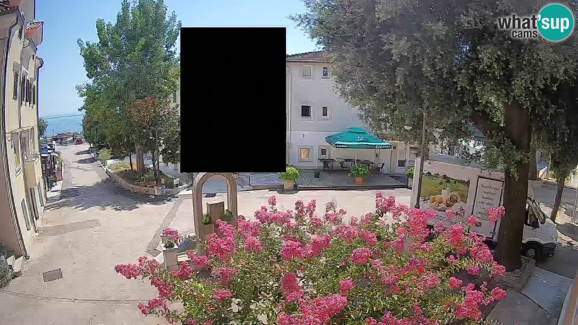 Webcam Centro Draga di Moschiena – Vista live sul centro