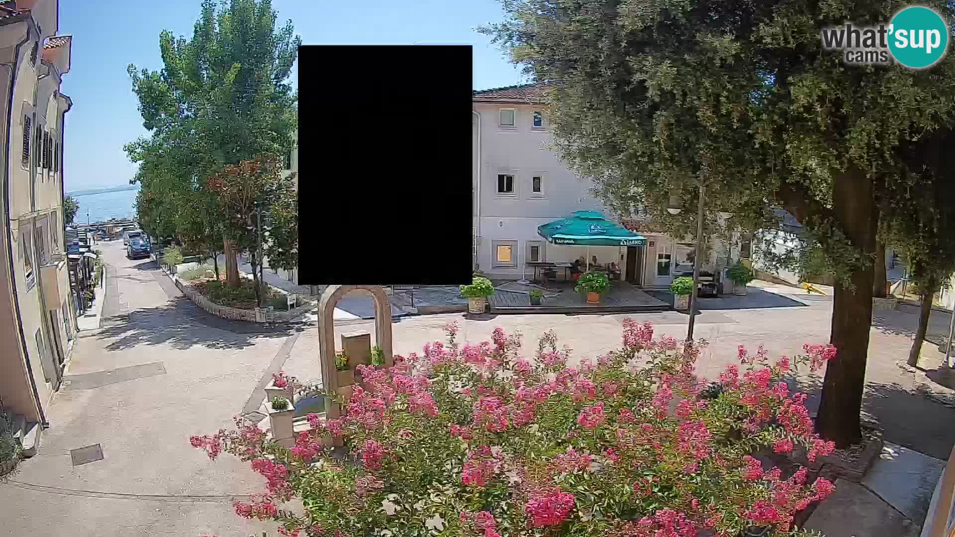 Webcam Centro Draga di Moschiena – Vista live sul centro
