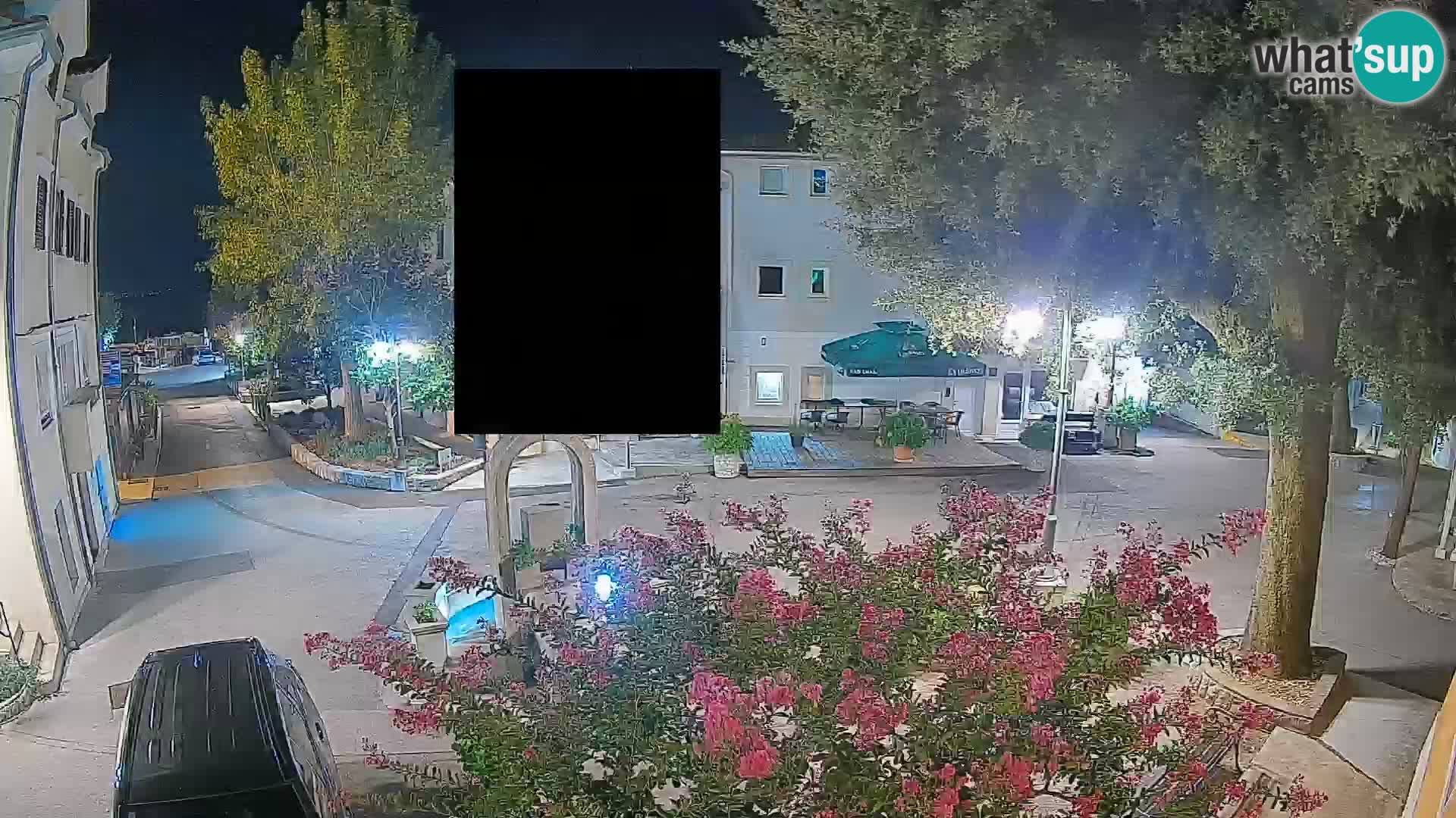 Webcam Centro Draga di Moschiena – Vista live sul centro
