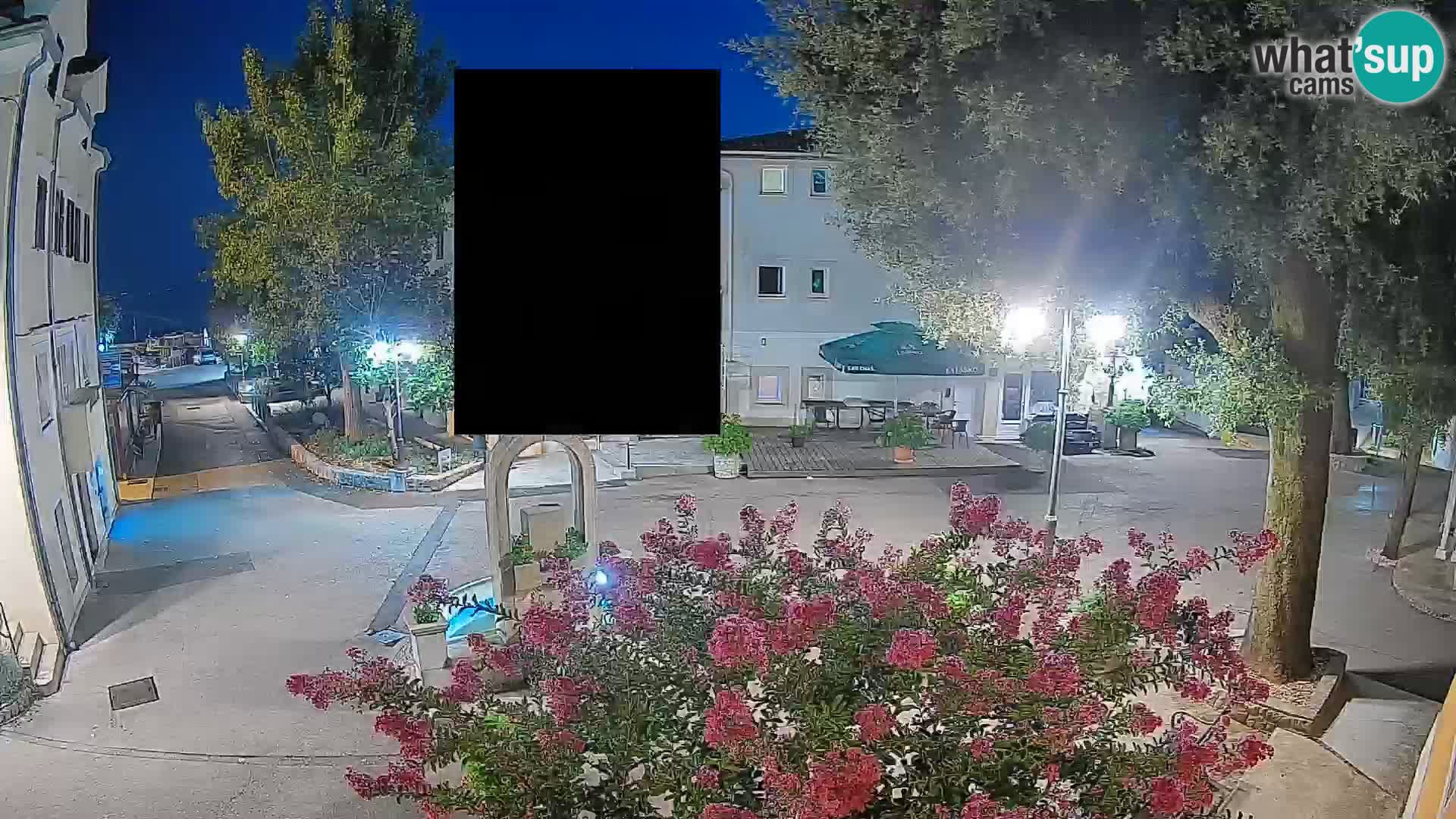 Webcam Centro Draga di Moschiena – Vista live sul centro