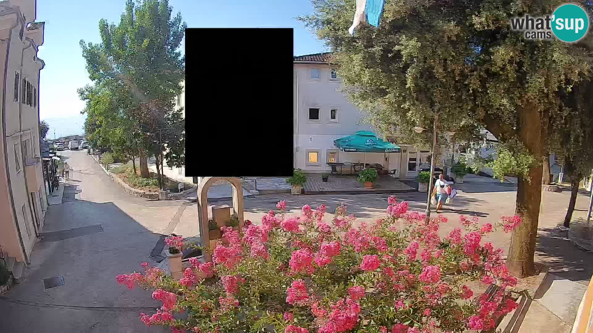 Webcam Centro Draga di Moschiena – Vista live sul centro