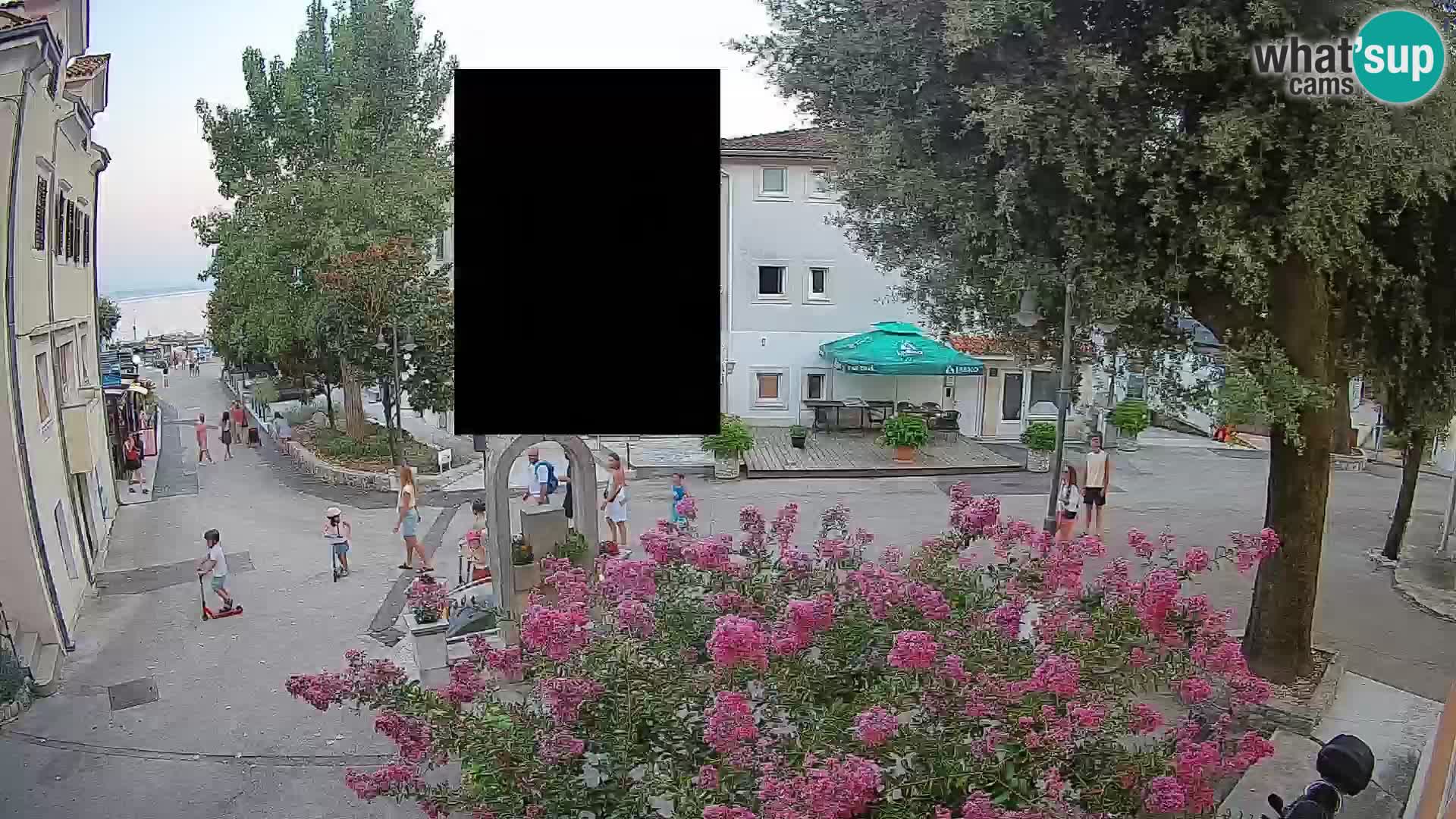 Webcam Centro Draga di Moschiena – Vista live sul centro