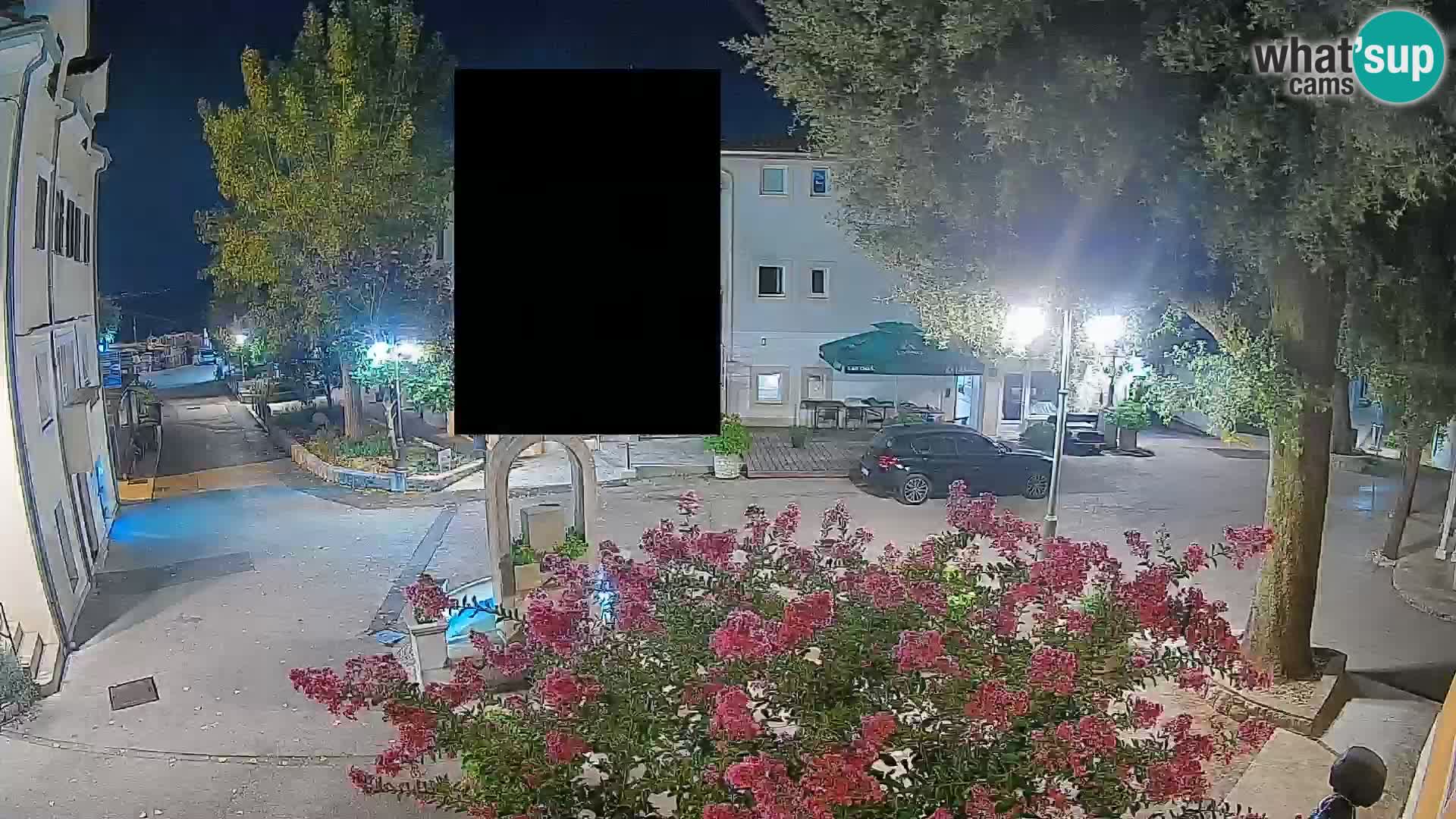Webcam Centro Draga di Moschiena – Vista live sul centro