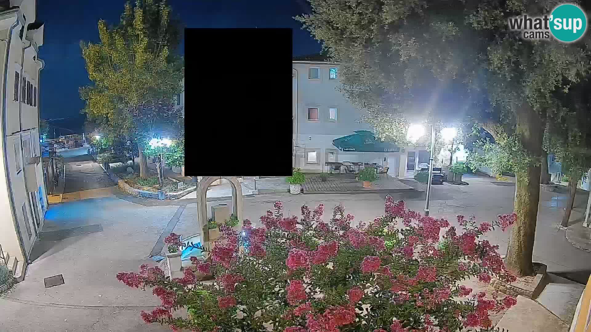 Webcam Centro Draga di Moschiena – Vista live sul centro