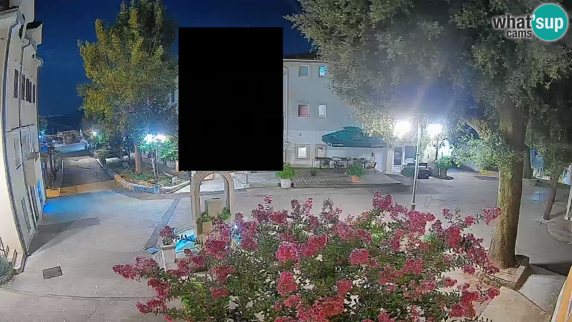 Webcam Centro Draga di Moschiena – Vista live sul centro