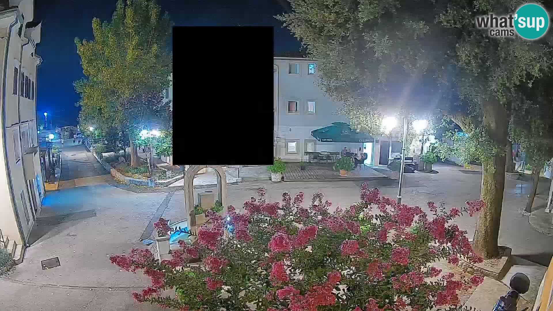 Webcam Centro Draga di Moschiena – Vista live sul centro