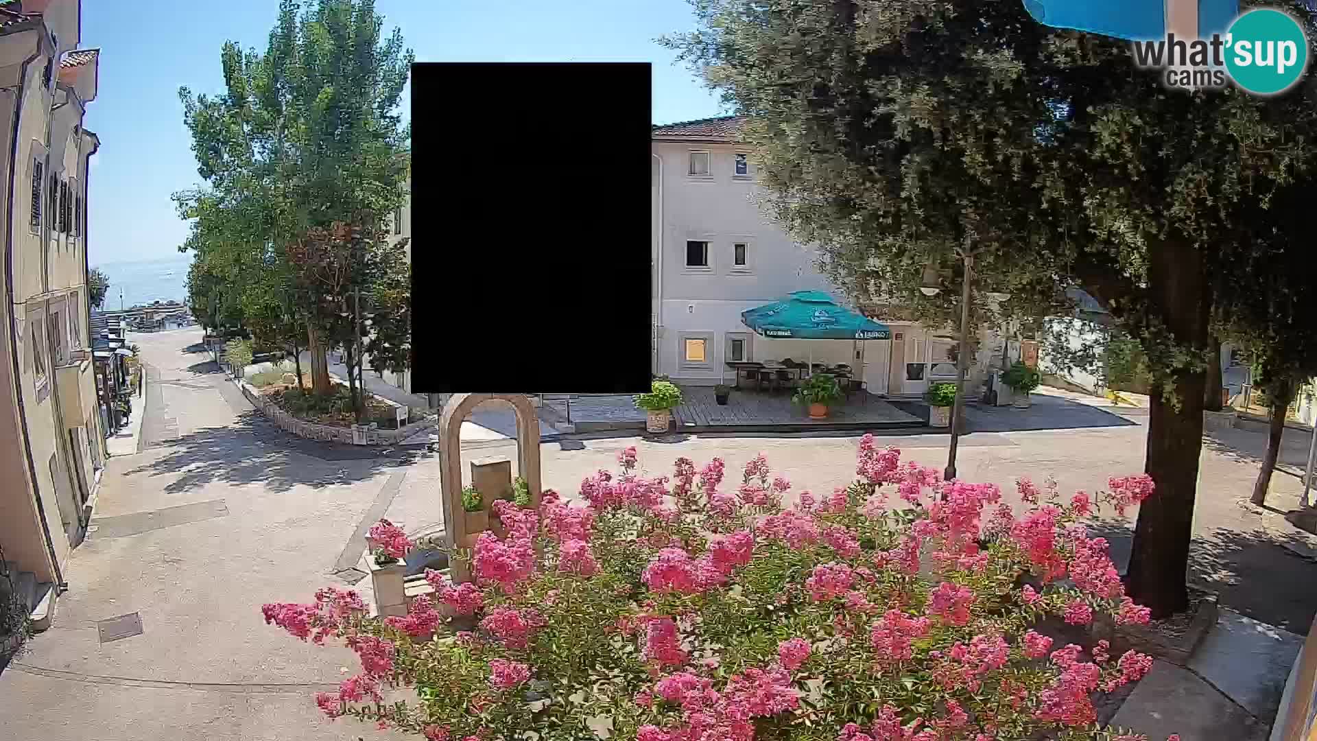 Webcam Centro Draga di Moschiena – Vista live sul centro