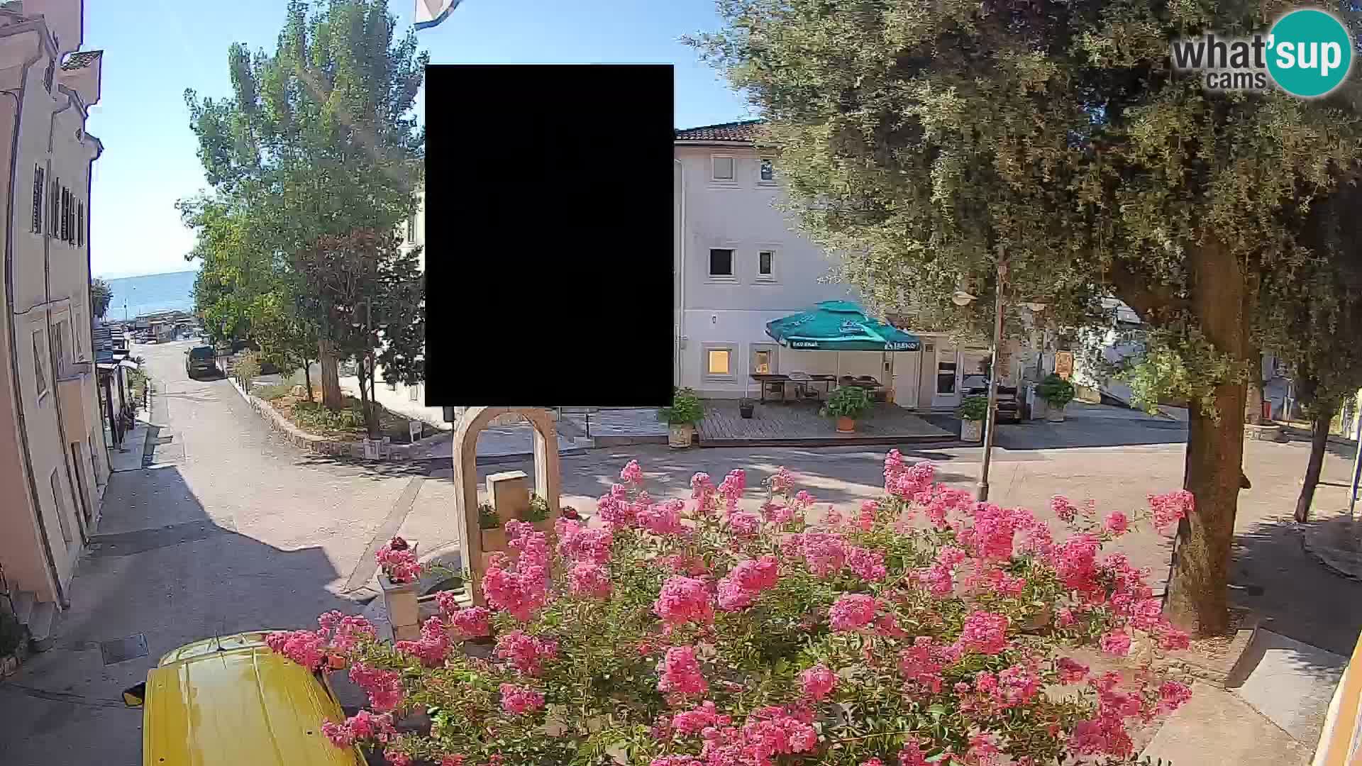 Webcam Centro Draga di Moschiena – Vista live sul centro