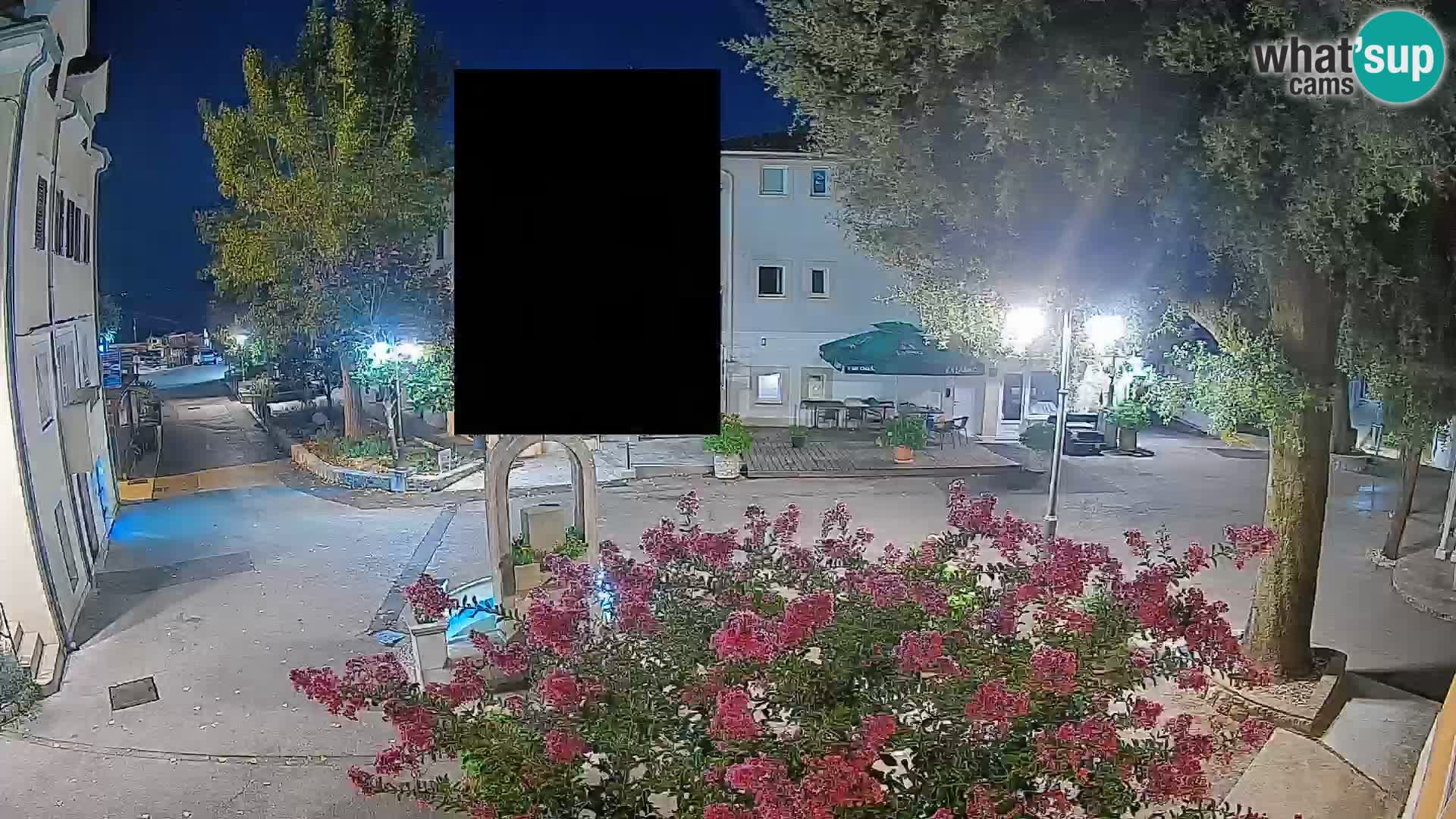 Webcam Centro Draga di Moschiena – Vista live sul centro