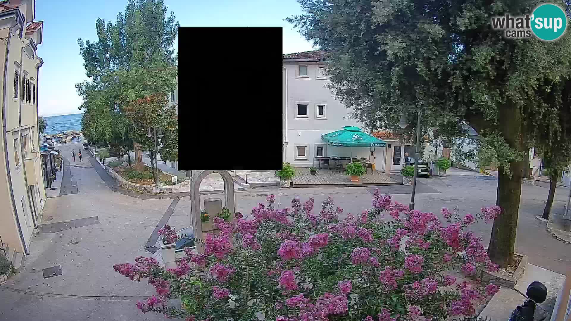 Webcam Centro Draga di Moschiena – Vista live sul centro