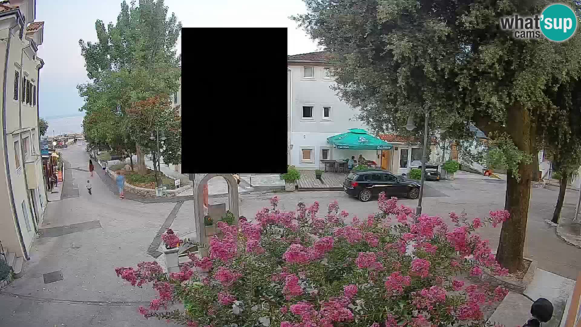 Webcam Centro Draga di Moschiena – Vista live sul centro