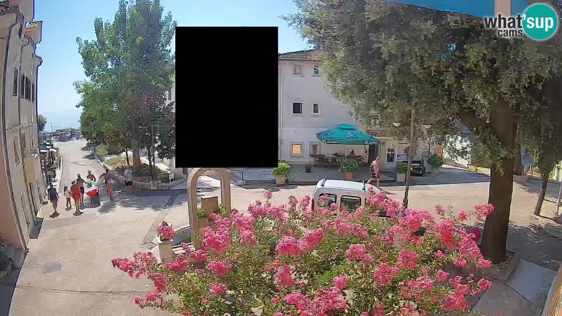 Webcam Centro Draga di Moschiena – Vista live sul centro