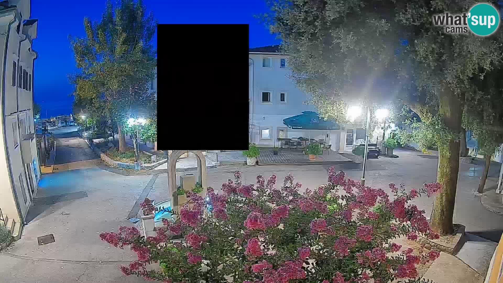 Webcam Centro Draga di Moschiena – Vista live sul centro