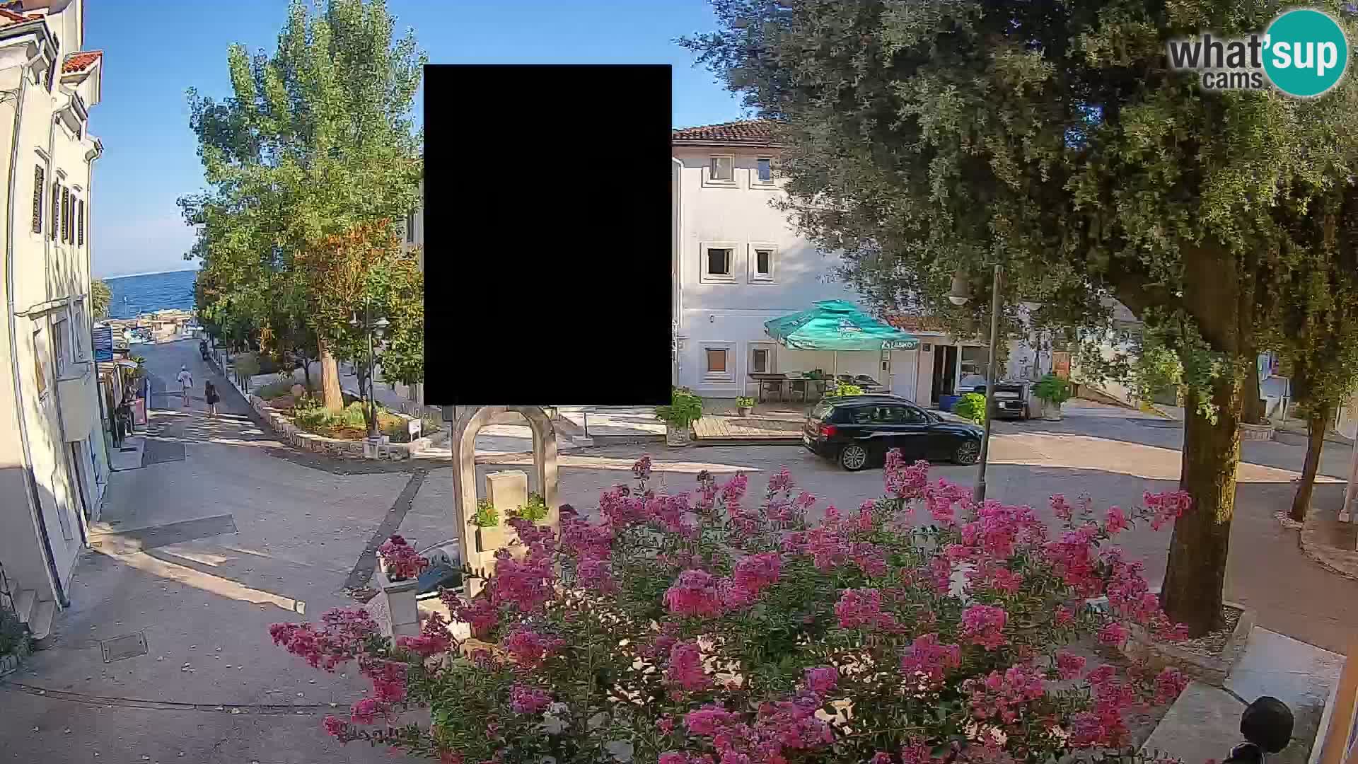 Webcam Centro Draga di Moschiena – Vista live sul centro