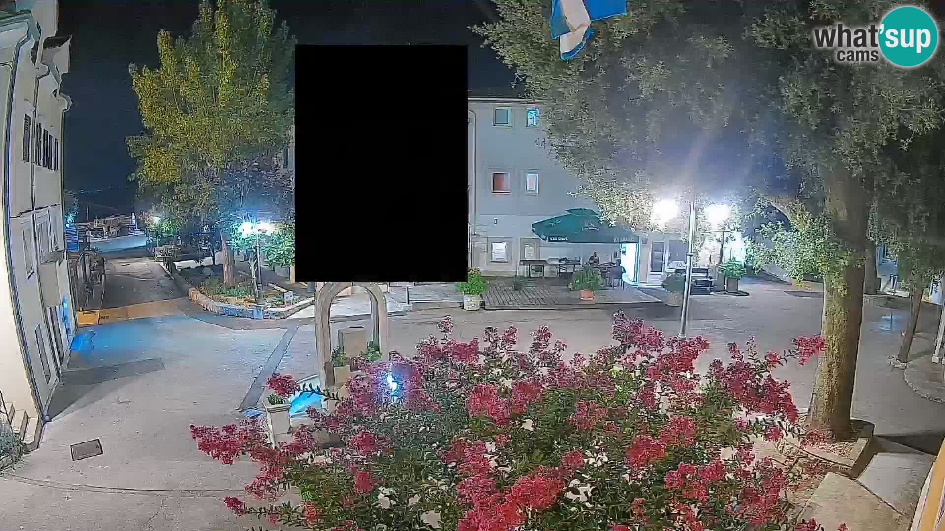 Webcam Centro Draga di Moschiena – Vista live sul centro