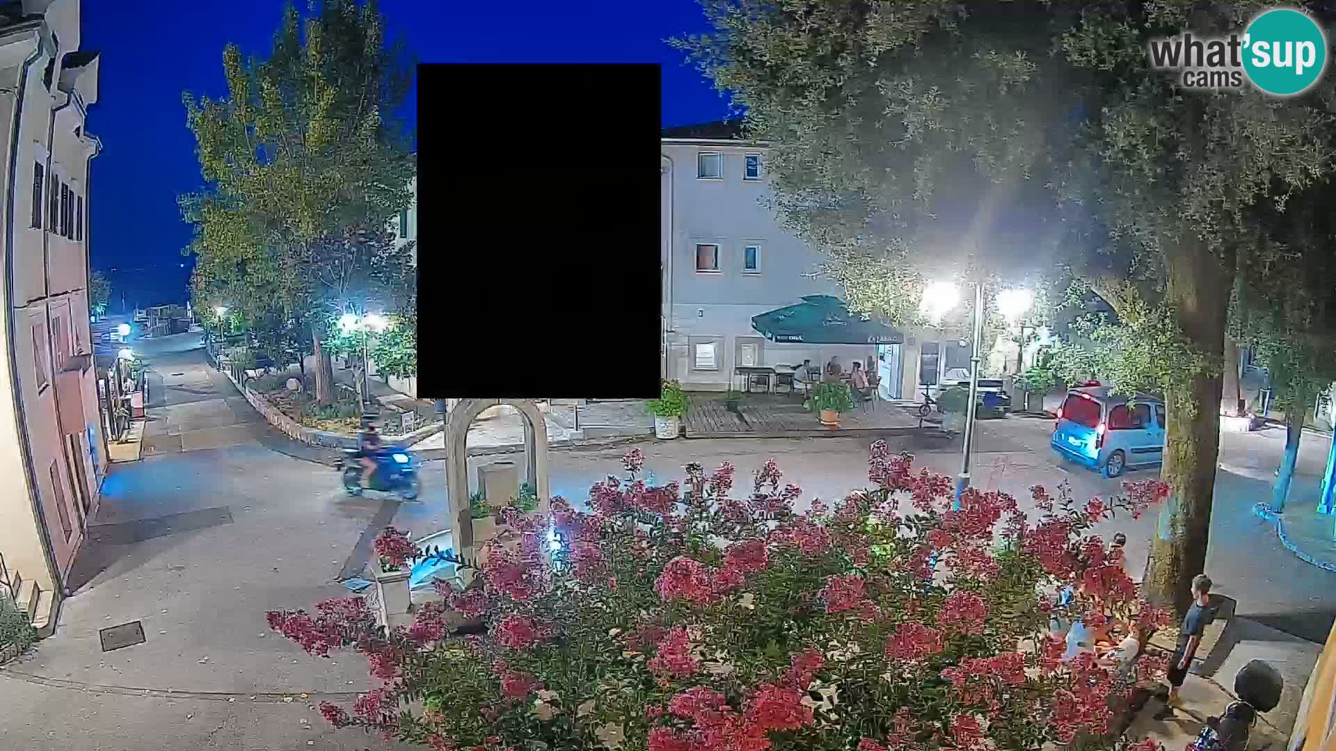 Webcam Centro Draga di Moschiena – Vista live sul centro
