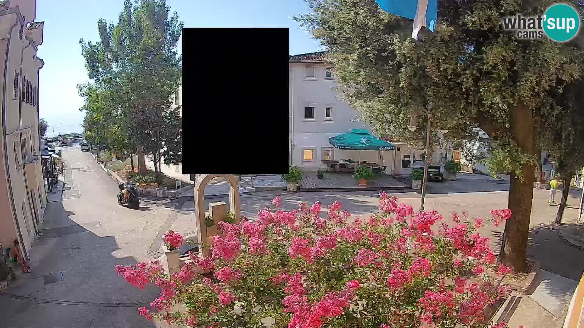 Webcam Centro Draga di Moschiena – Vista live sul centro