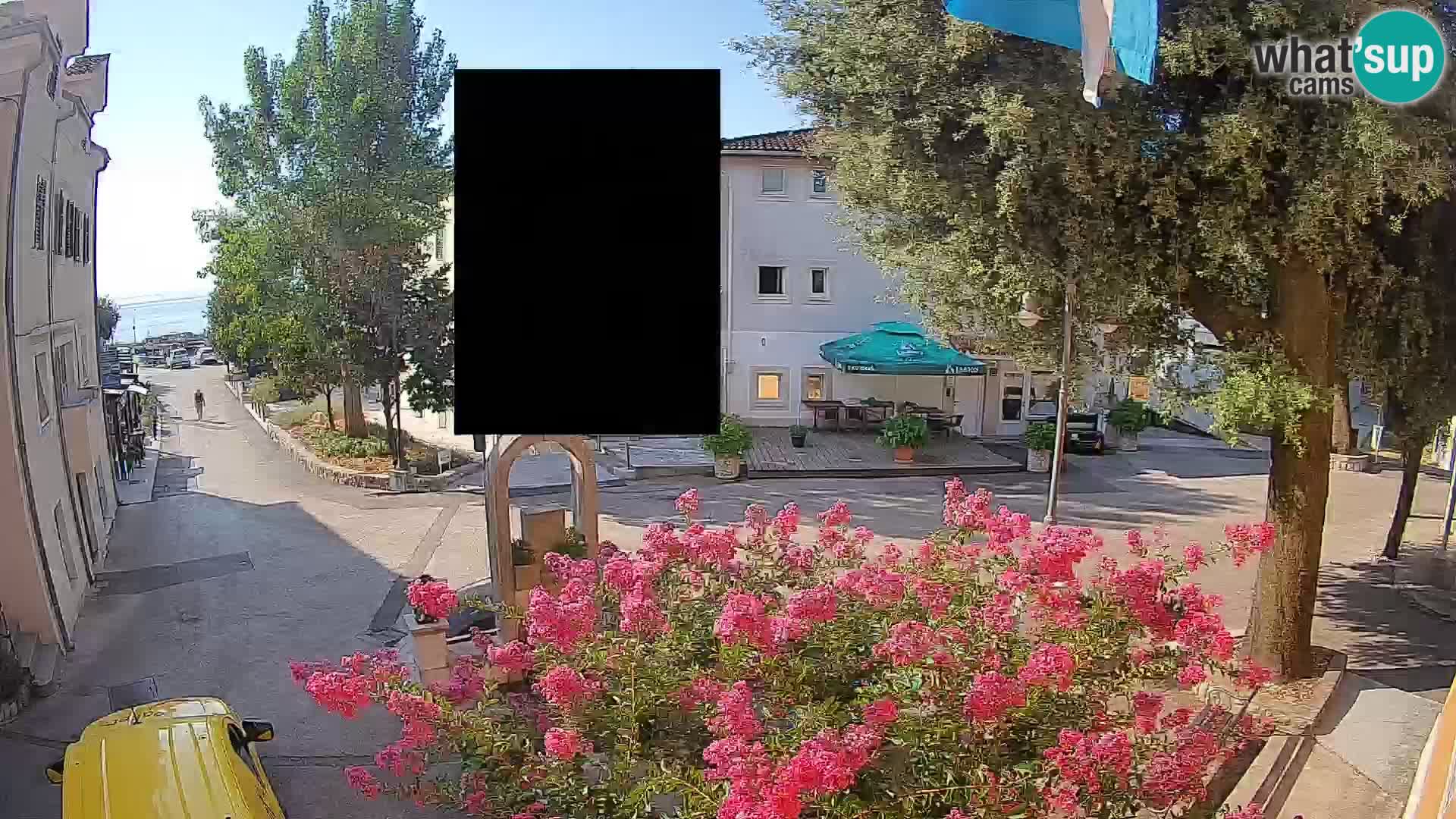 Webcam Centro Draga di Moschiena – Vista live sul centro