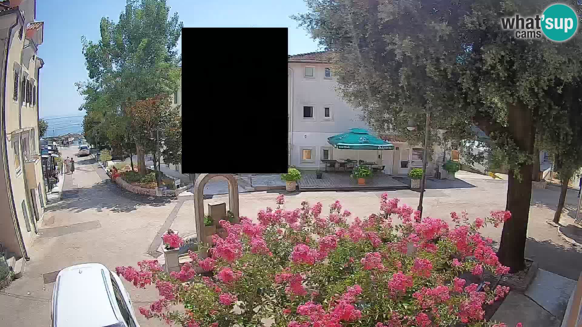 Webcam Centro Draga di Moschiena – Vista live sul centro