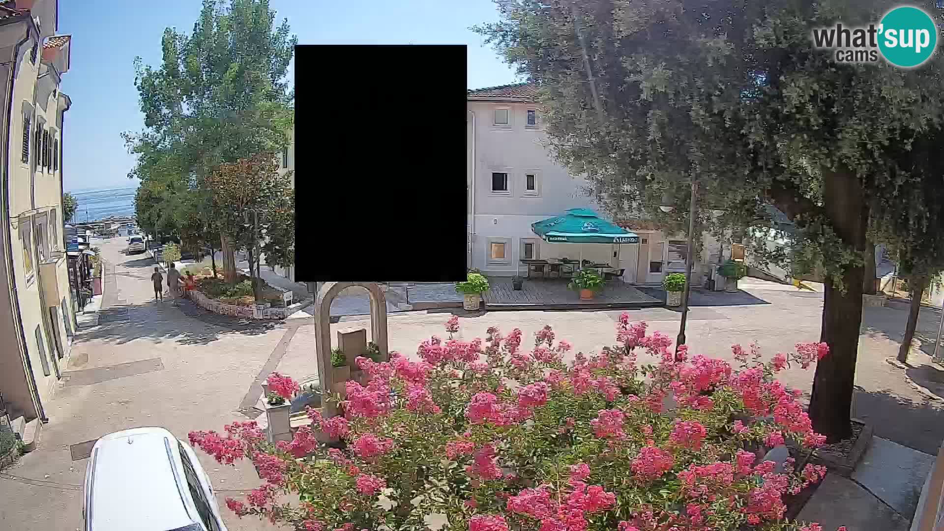 Webcam Centro Draga di Moschiena – Vista live sul centro