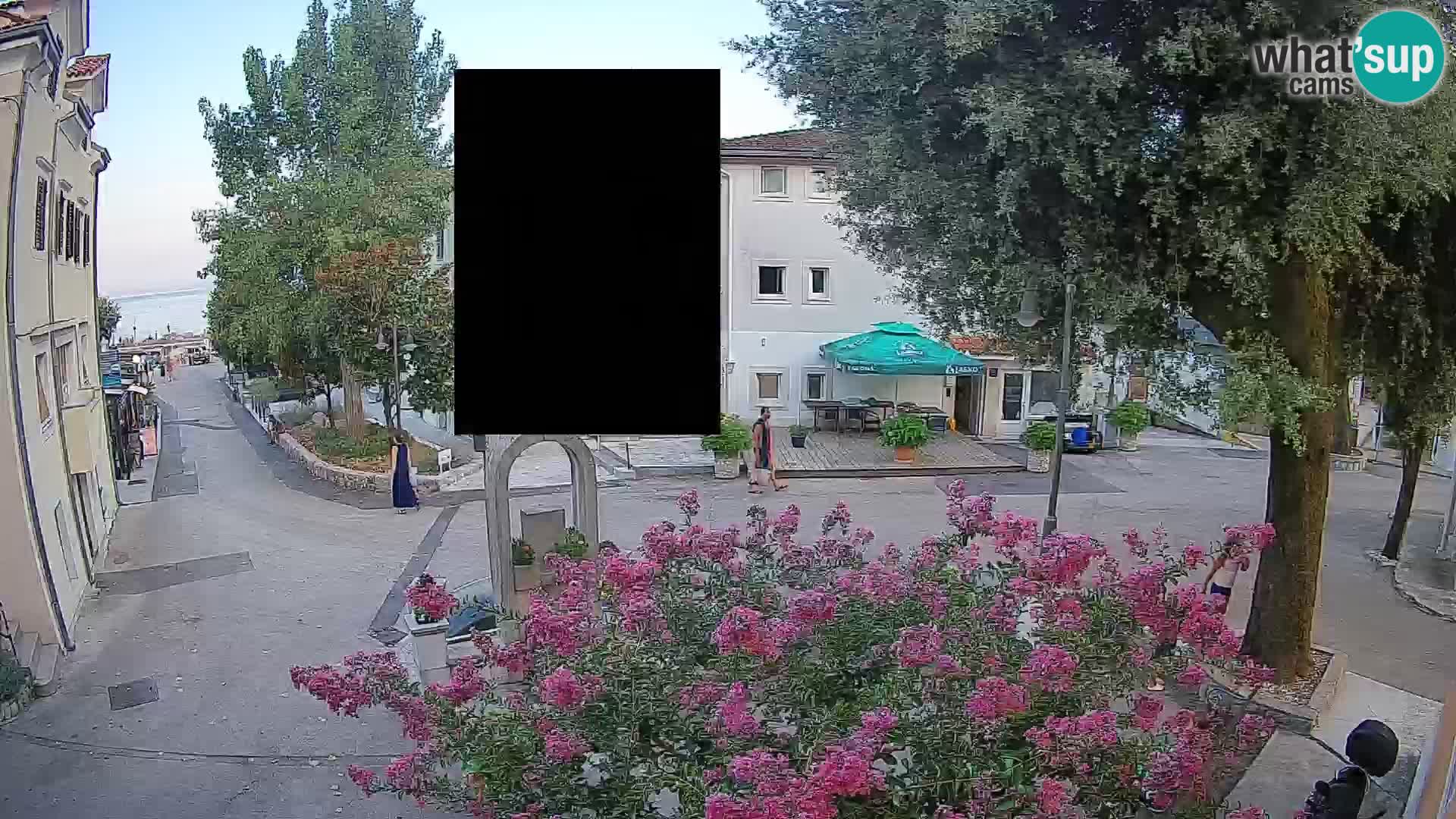 Web kamera centar Mošćeničke Drage – Pogled uživo
