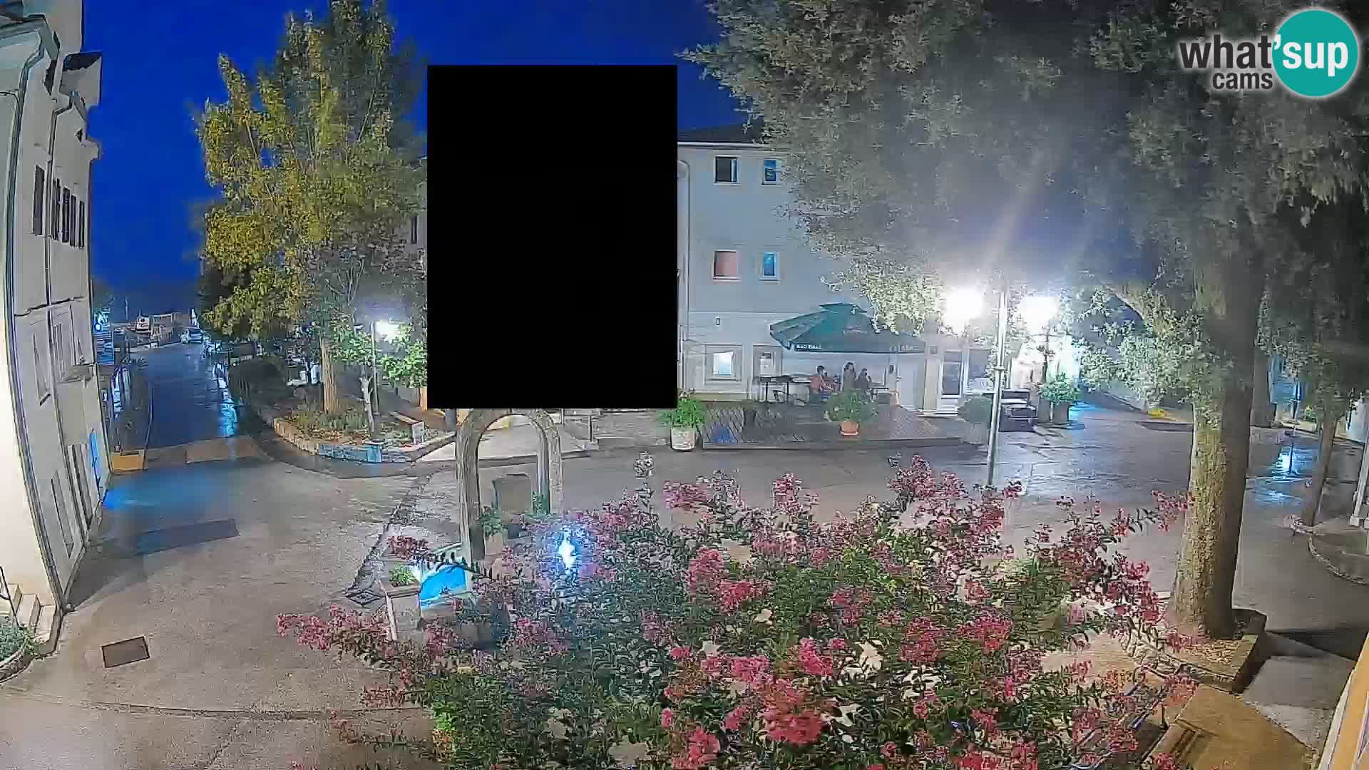Webcam Centro Draga di Moschiena – Vista live sul centro