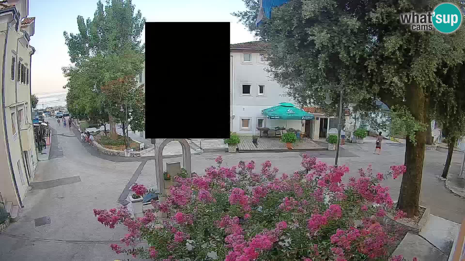 Webcam Centro Draga di Moschiena – Vista live sul centro
