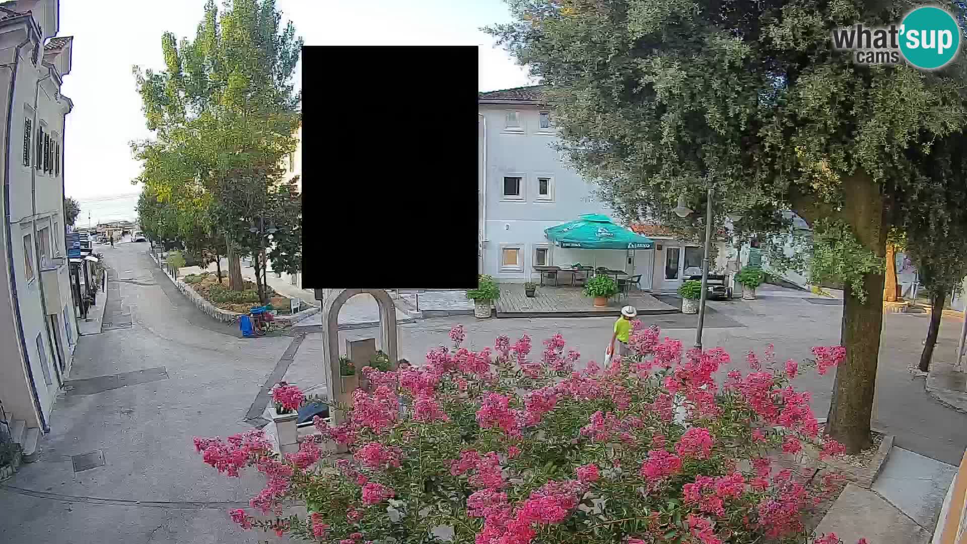 Webcam Centro Draga di Moschiena – Vista live sul centro