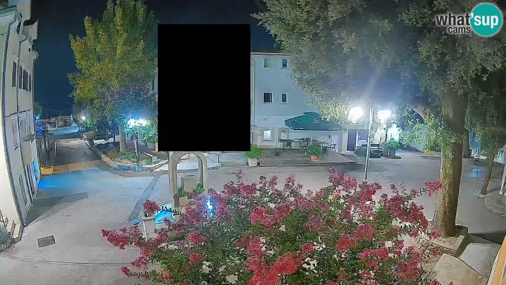 Webcam Centro Draga di Moschiena – Vista live sul centro