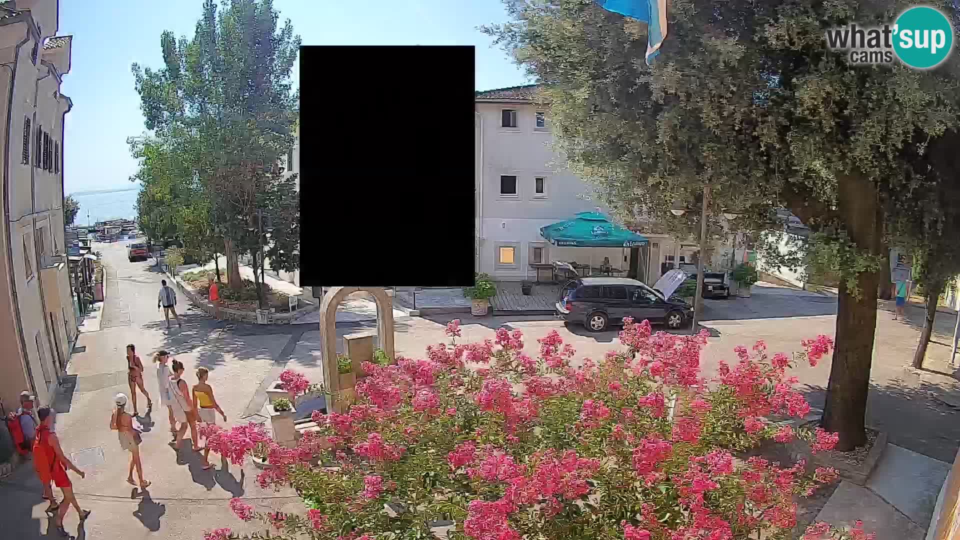 Webcam Centro Draga di Moschiena – Vista live sul centro