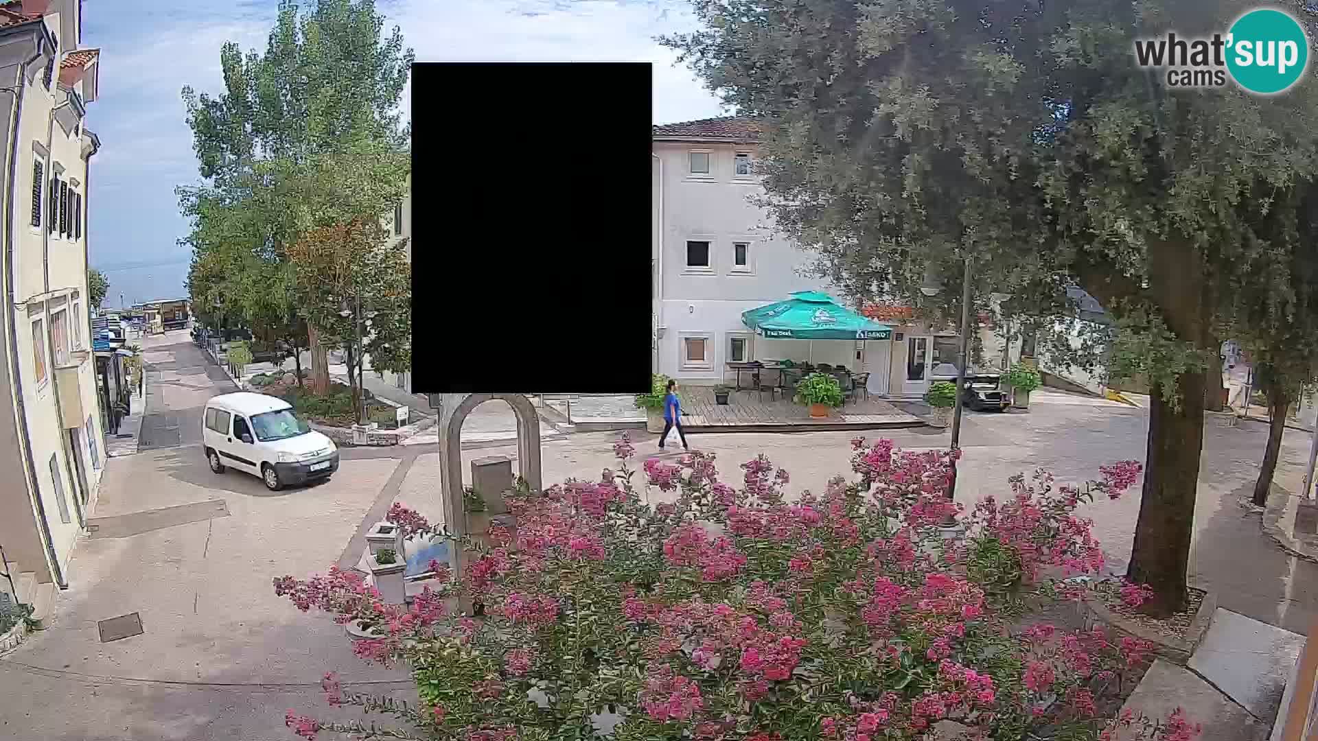 Webcam Centro Draga di Moschiena – Vista live sul centro