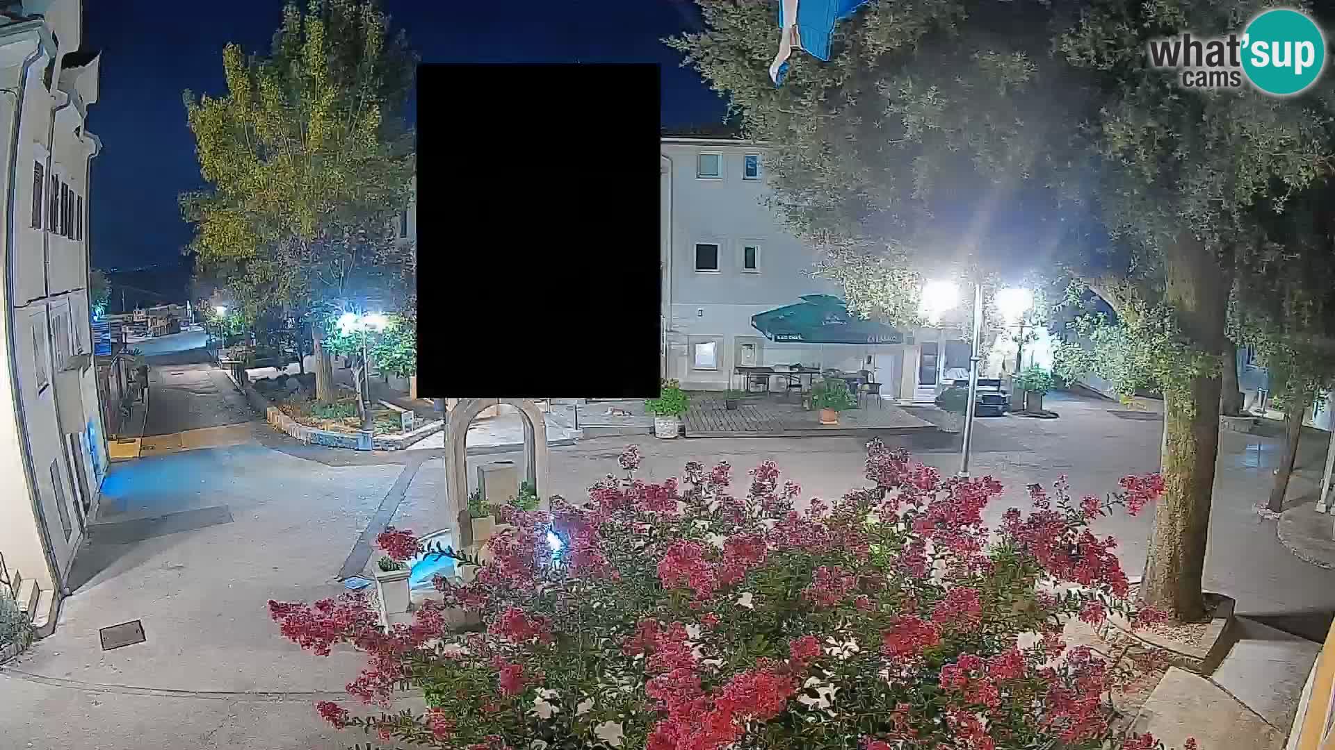 Webcam Centro Draga di Moschiena – Vista live sul centro