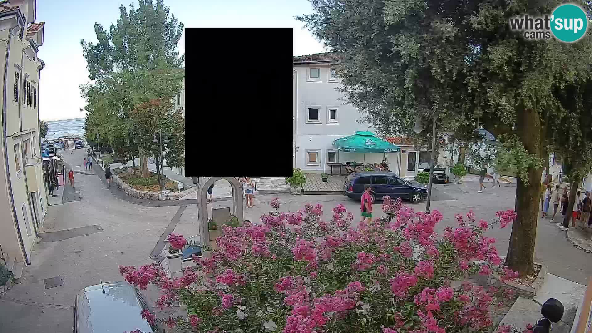 Webcam Centro Draga di Moschiena – Vista live sul centro