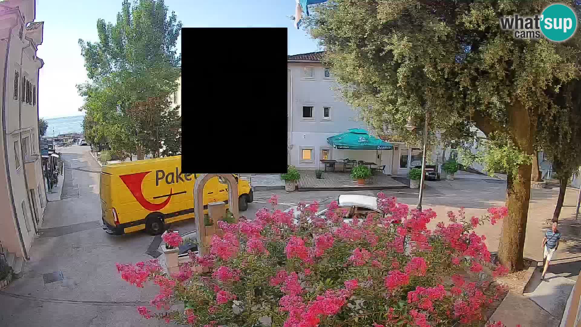 Webcam Centro Draga di Moschiena – Vista live sul centro
