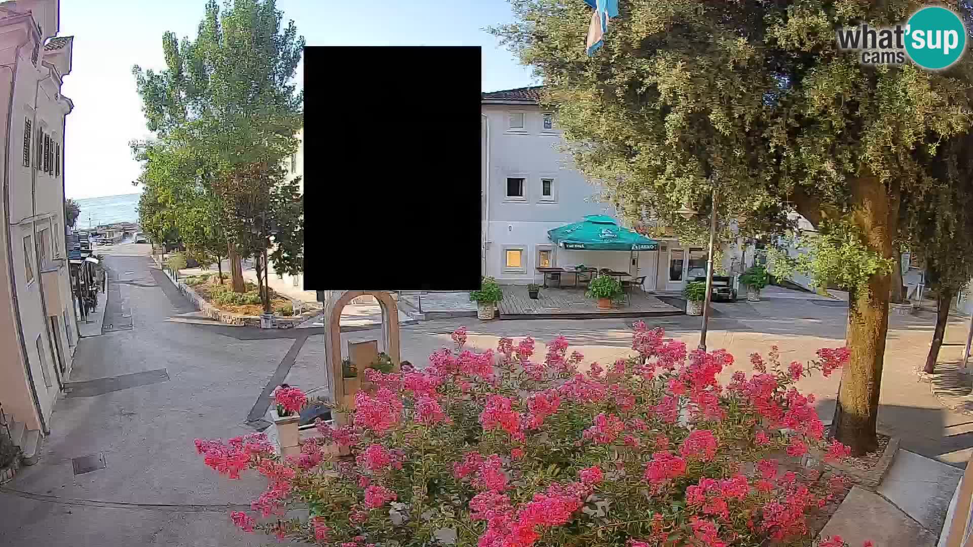 Webcam Centro Draga di Moschiena – Vista live sul centro