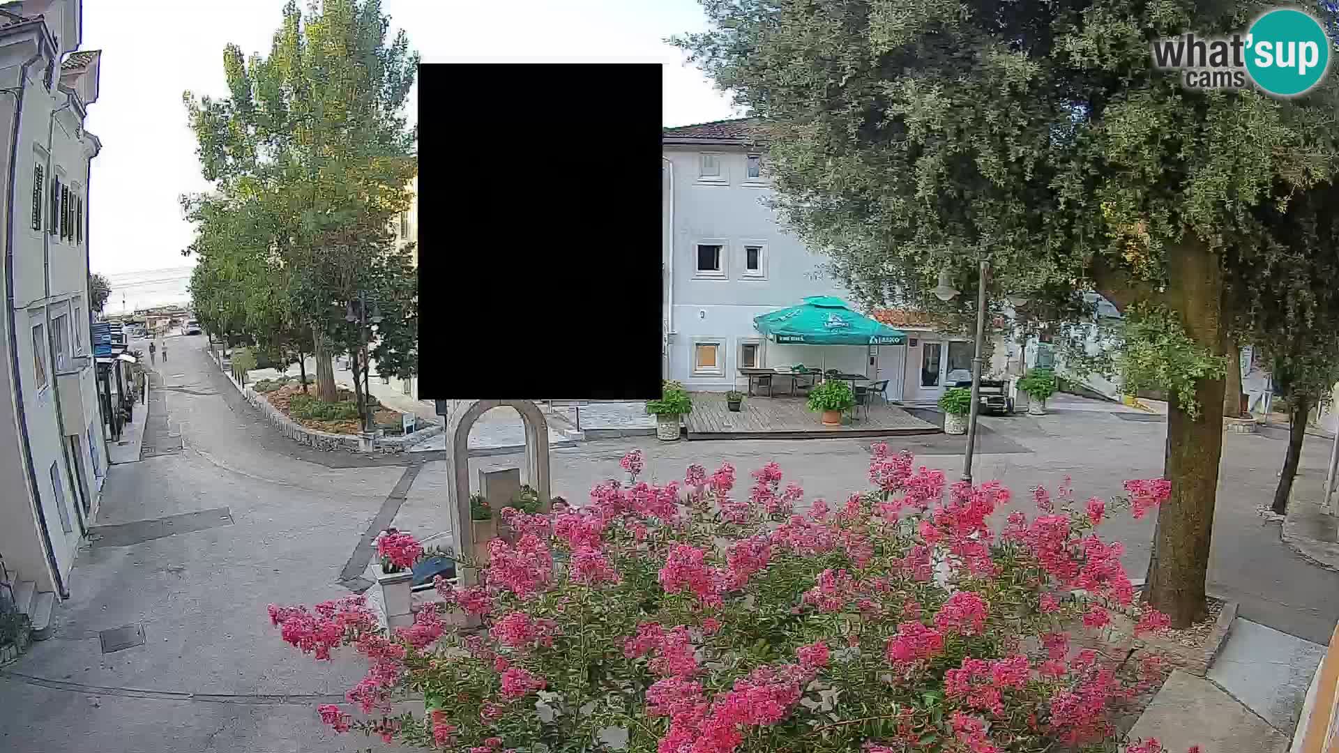 Webcam Centro Draga di Moschiena – Vista live sul centro