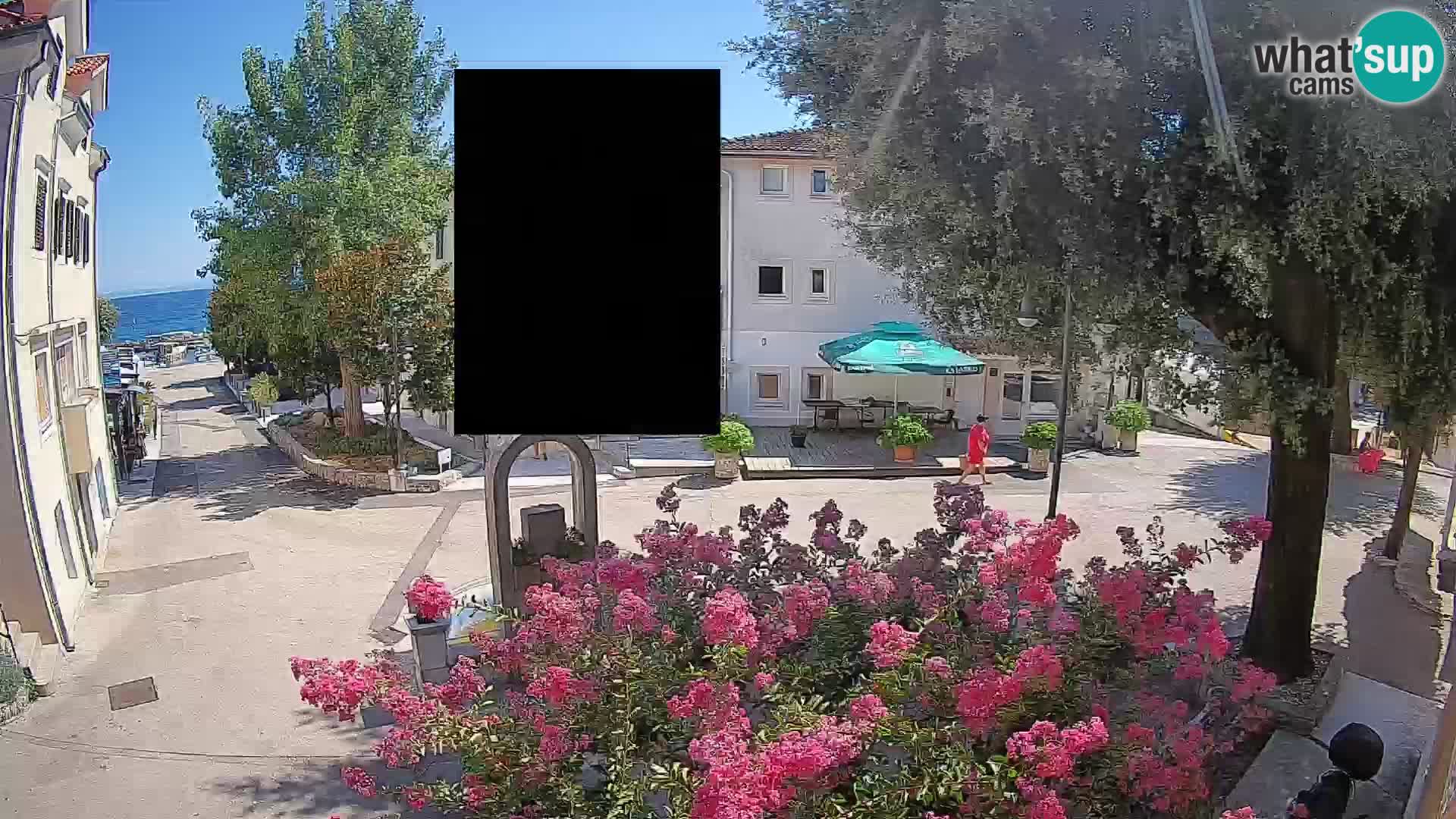 Webcam Centro Draga di Moschiena – Vista live sul centro