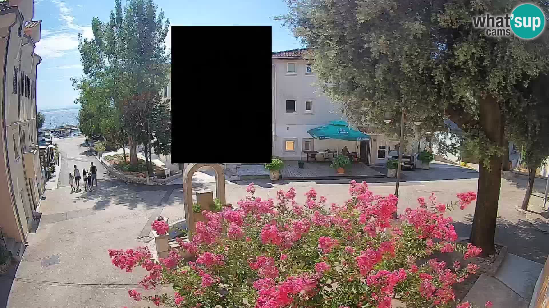 Webcam Centro Draga di Moschiena – Vista live sul centro